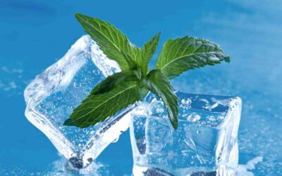 ¿Cómo debe ser un buen cubito de hielo en una zona mediterránea como la nuestra?