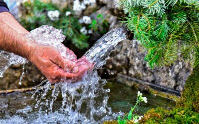 ¿Qué es un manantial de agua mineral?